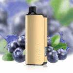 ALIBARBAR INGOT Blueberry Blast 9000 Puffs 3 pack on sale