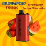 Gunnpod EVO Strawberry Coconut Watermelon 15K