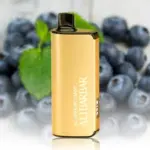 Bang Box 30000 Puff -10 packs or more