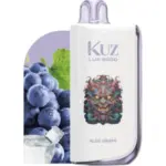 KUZ LUX 9000 Puffs – ALOE GRAPE